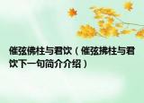 催弦佛柱與君飲（催弦拂柱與君飲下一句簡介介紹）
