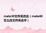 mate30文件夾改名（mate40怎么改文件夾名字）