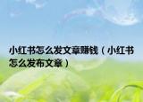 小紅書(shū)怎么發(fā)文章賺錢(qián)（小紅書(shū)怎么發(fā)布文章）