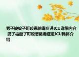 男子被蚊子叮咬患膿毒癥進ICU詳細內(nèi)容 男子被蚊子叮咬患膿毒癥進ICU具體介紹
