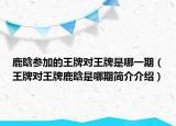 鹿晗參加的王牌對(duì)王牌是哪一期（王牌對(duì)王牌鹿晗是哪期簡(jiǎn)介介紹）