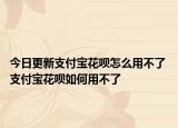 今日更新支付寶花唄怎么用不了 支付寶花唄如何用不了