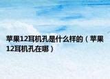 蘋果12耳機(jī)孔是什么樣的（蘋果12耳機(jī)孔在哪）