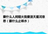 要什么人間煙火我要漫天星河意思（要什么止咳水）