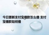 今日更新支付寶借款怎么借 支付寶借款如何借