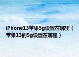 iPhone13蘋果5g設置在哪里（蘋果13的5g設置在哪里）