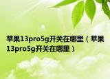 蘋果13pro5g開關在哪里（蘋果13pro5g開關在哪里）