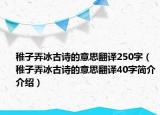 稚子弄冰古詩(shī)的意思翻譯250字（稚子弄冰古詩(shī)的意思翻譯40字簡(jiǎn)介介紹）