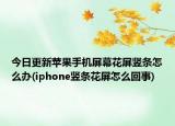 今日更新蘋果手機(jī)屏幕花屏豎條怎么辦(iphone豎條花屏怎么回事)