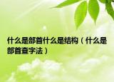 什么是部首什么是結(jié)構(gòu)（什么是部首查字法）