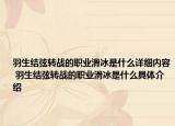 羽生結弦轉戰(zhàn)的職業(yè)滑冰是什么詳細內容 羽生結弦轉戰(zhàn)的職業(yè)滑冰是什么具體介紹