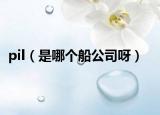 pil（是哪個船公司呀）