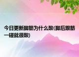 今日更新腳筋為什么酸(腳后跟筋一碰就很酸)