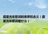 盛夏光年歌詞的意思和含義（盛夏光年歌詞是什么）