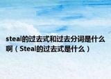 steal的過去式和過去分詞是什么?。⊿teal的過去式是什么）