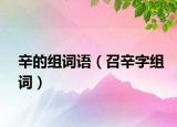 辛的組詞語（召辛字組詞）