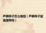 蘆筍種子怎么栽培（蘆筍種子能直接種嗎）