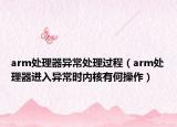 arm處理器異常處理過程（arm處理器進(jìn)入異常時(shí)內(nèi)核有何操作）