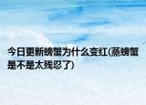 今日更新螃蟹為什么變紅(蒸螃蟹是不是太殘忍了)