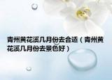 青州黃花溪幾月份去合適（青州黃花溪幾月份去景色好）