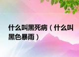 什么叫黑死?。ㄊ裁唇泻谏┯辏? /></span></a>
                        <h2><a href=