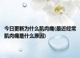 今日更新為什么肌肉痛(最近經(jīng)常肌肉痛是什么原因)