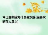 今日更新貓為什么喜歡踩(貓喜歡站在人身上)