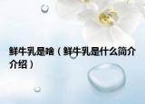 鮮牛乳是啥（鮮牛乳是什么簡介介紹）