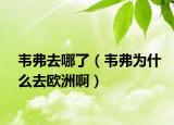 韋弗去哪了（韋弗為什么去歐洲?。? /></span></a>
                        <h2><a href=