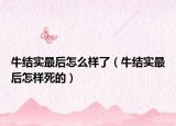 牛結(jié)實最后怎么樣了（牛結(jié)實最后怎樣死的）