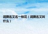 詞牌名又名一枝花（詞牌名又叫什么）