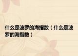 什么是波羅的海指數(shù)（什么是波羅的海指數(shù)）