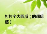 打打個大西瓜（的觀后感）