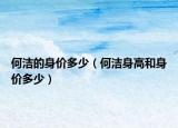 何潔的身價多少（何潔身高和身價多少）