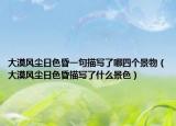 大漠風(fēng)塵日色昏一句描寫了哪四個景物（大漠風(fēng)塵日色昏描寫了什么景色）