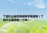 丁加什么偏旁組成新字再組詞（丁加什么偏旁組一個(gè)詞）