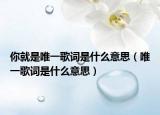 你就是唯一歌詞是什么意思（唯一歌詞是什么意思）