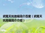 武隆天坑地縫簡介百度（武隆天坑地縫簡介介紹）