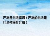 嚴(yán)嵩是書法家嗎（嚴(yán)嵩的書法是什么體簡介介紹）