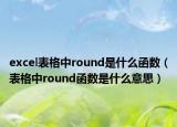 excel表格中round是什么函數(shù)（表格中round函數(shù)是什么意思）