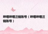 嗶哩嗶哩注銷賬號(hào)（嗶哩嗶哩注銷賬號(hào)）
