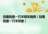 別看我是一只羊鋼琴視頻（別看我是一只羊拼音）