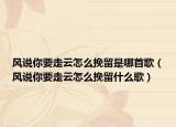 風(fēng)說你要走云怎么挽留是哪首歌（風(fēng)說你要走云怎么挽留什么歌）