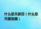 什么是天赦日（什么是天國(guó)寶藏）