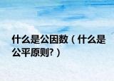 什么是公因數(shù)（什么是公平原則?）