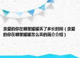 親愛的你在哪里媛媛丟了多長時(shí)間（親愛的你在哪里媛媛怎么丟的簡介介紹）