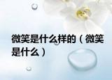 微笑是什么樣的（微笑是什么）