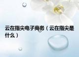 云在指尖電子商務(wù)（云在指尖是什么）