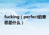 fucking（perfect的意思是什么）