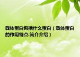 載體蛋白包括什么蛋白（載體蛋白的作用特點.簡介介紹）